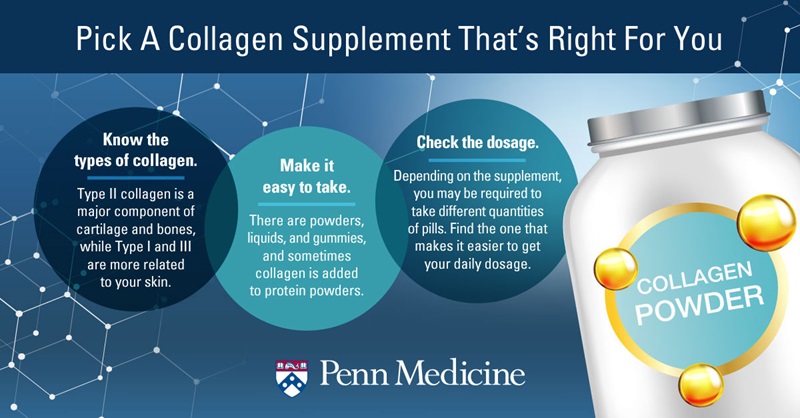 The Most Informative Guide About The Best Collagen Supplements